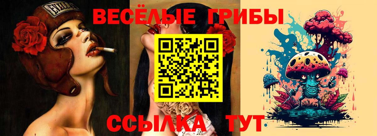 Галлюциногенные грибы Magic Shrooms  Вход с VPN  Галлюциногенные грибы Psilocybe  как найти наркотики  Ялуторовск 